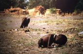 The Vulture and the Little Girl by Kevin Carter